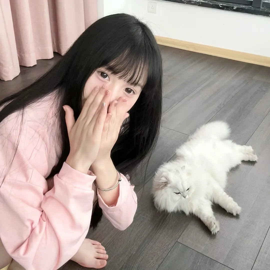 恋情告急
